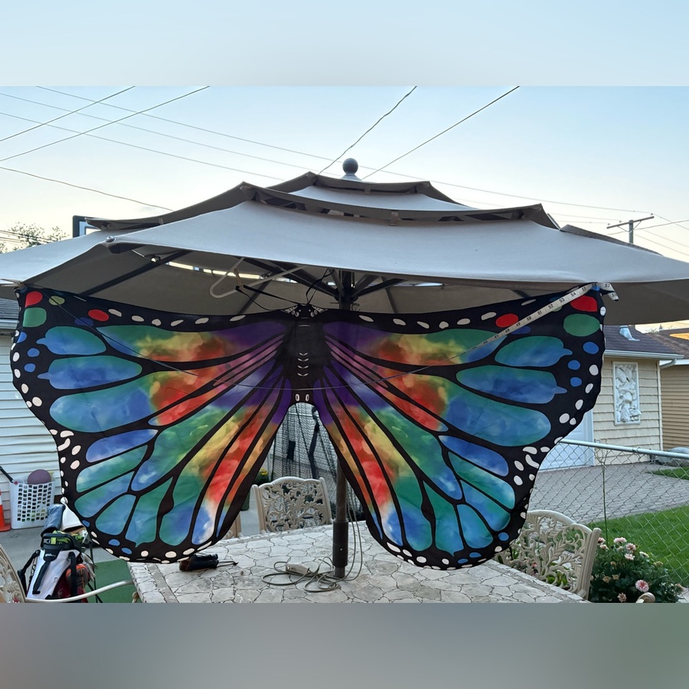 BUTTERFLY WINGS COSTUME | Full Wingspan | Halloween - Picture 6 of 11